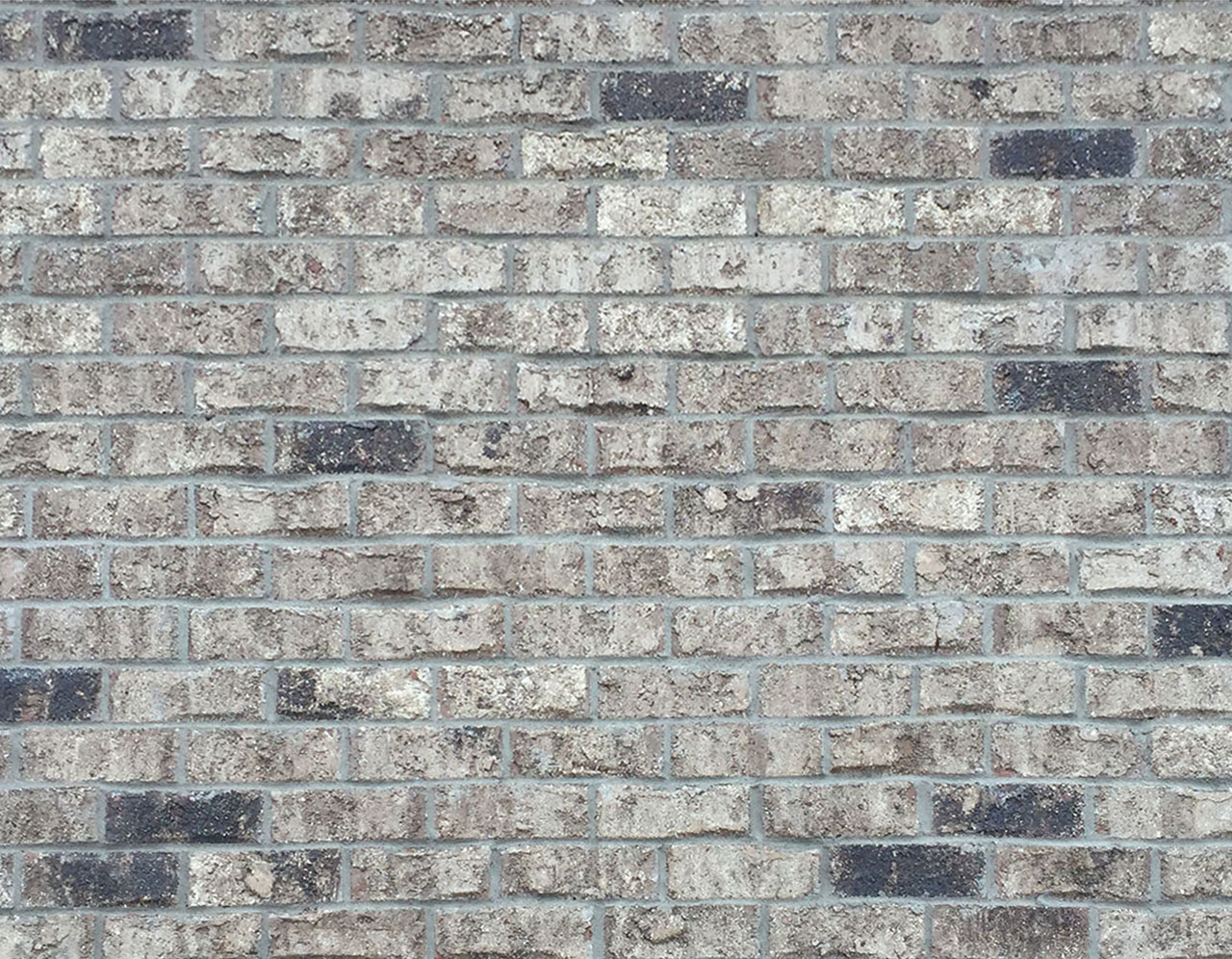 Belfast Gray- Georgia Classic Collection