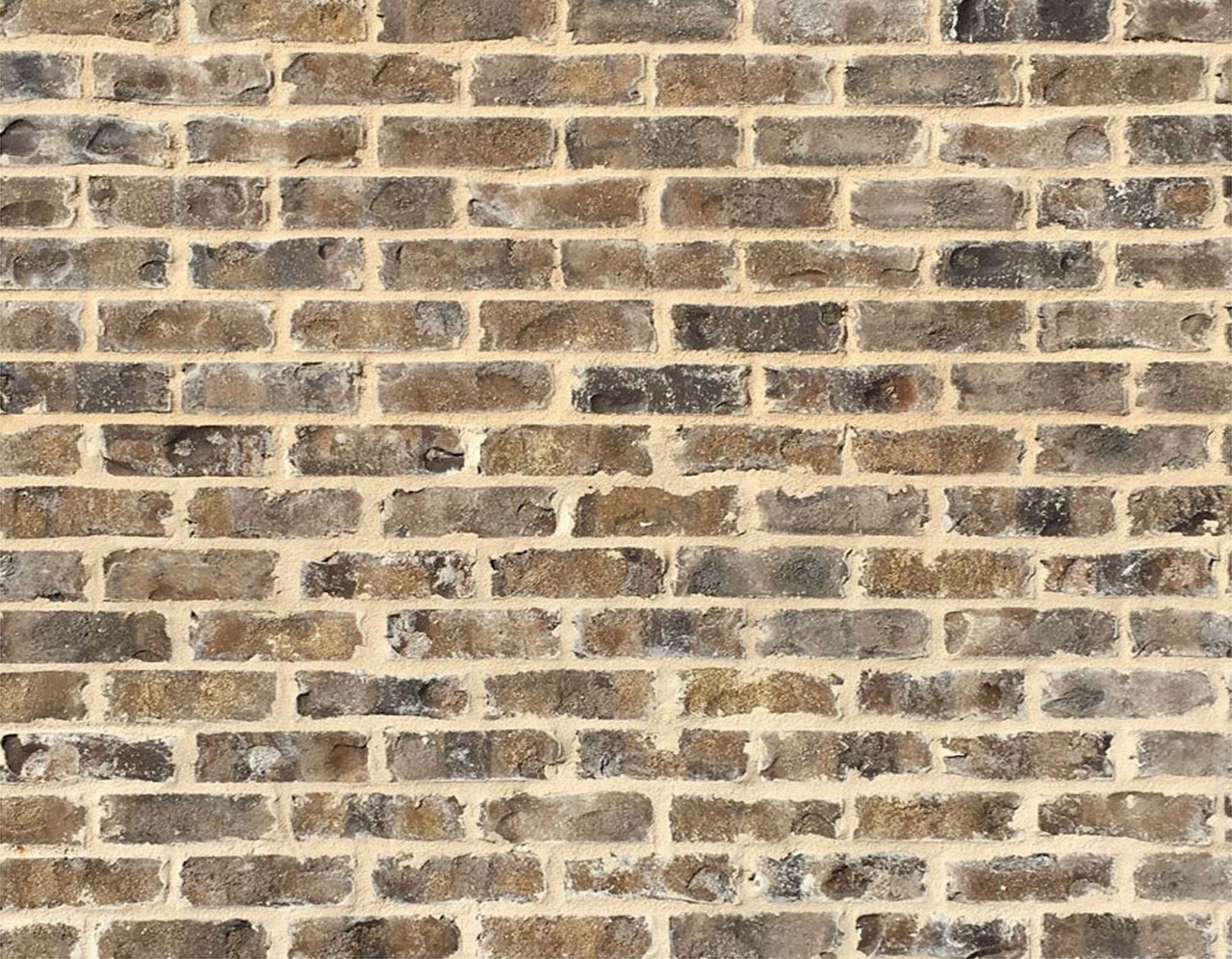 Cobblestone- Georgia Classic Collection