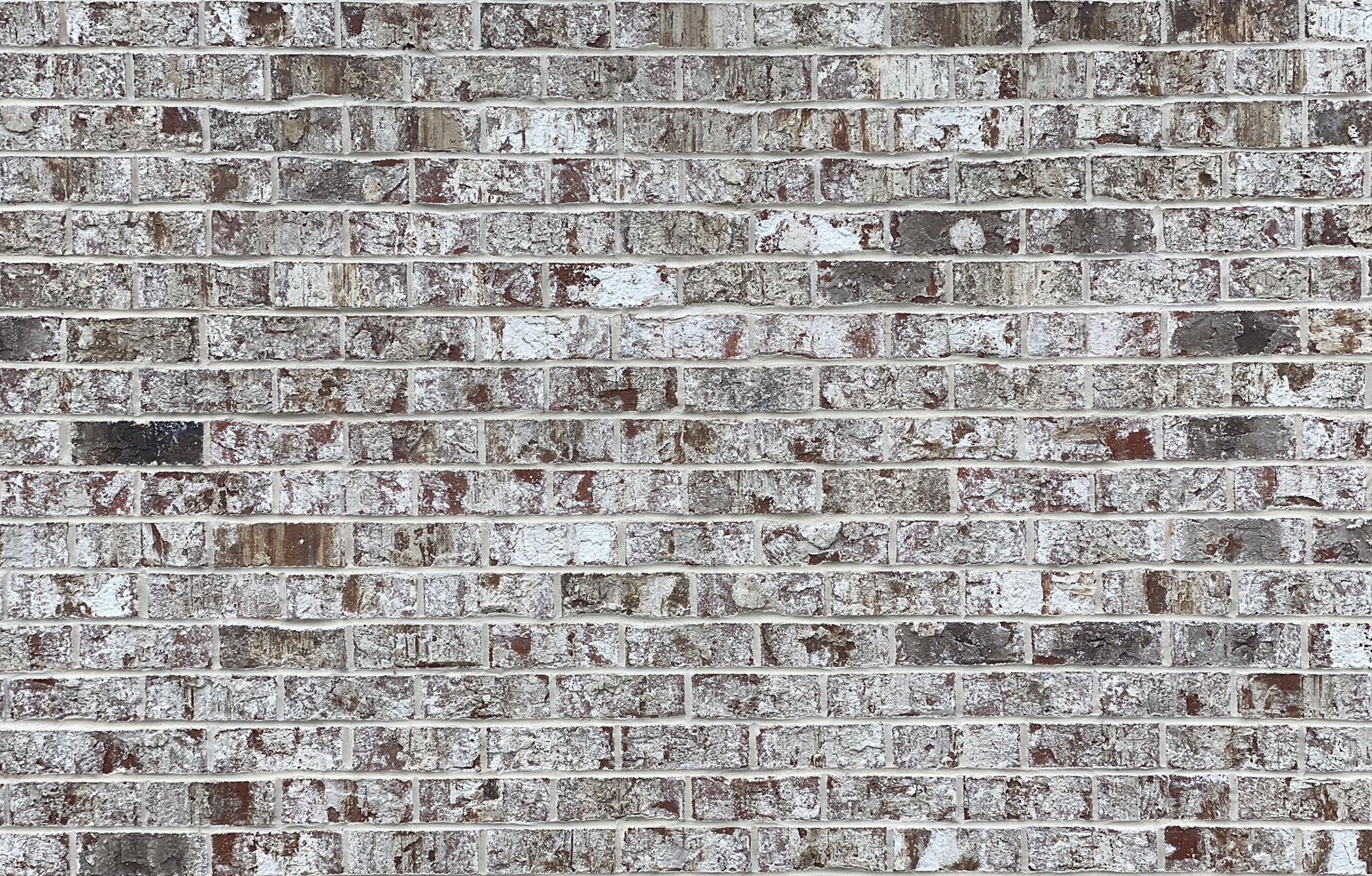 Graystone Brick- Georgia Classic Collection